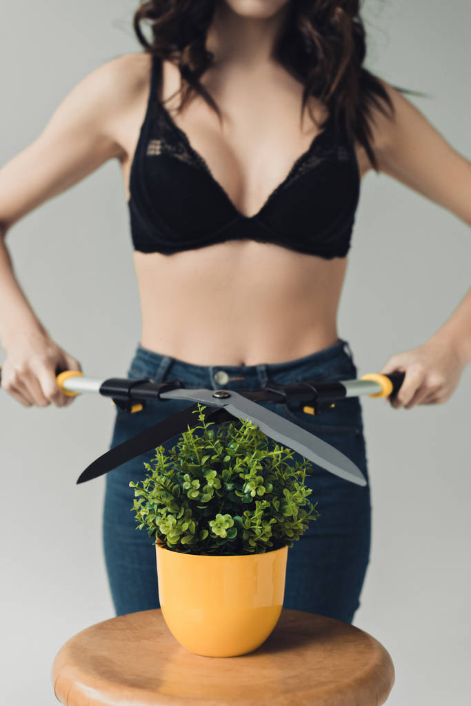 Cropped view of woman in black bra cutting green plant with big scissors isolated on grey - Photo, Image