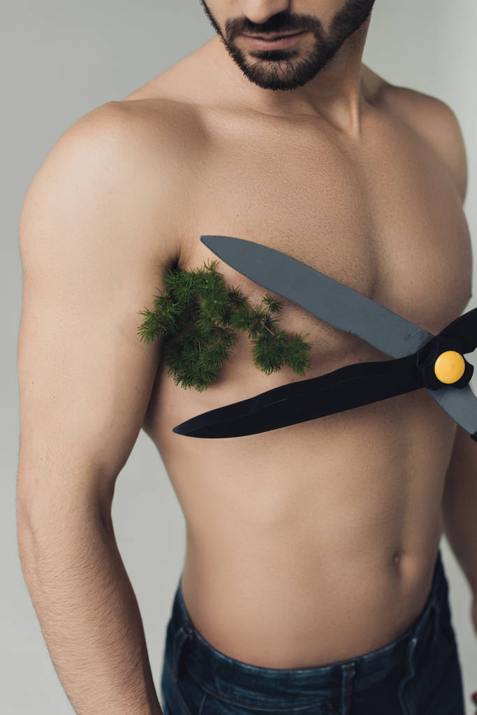 Partial view of shirtless man with plant under armpit and big scissors isolated on grey - Photo, Image