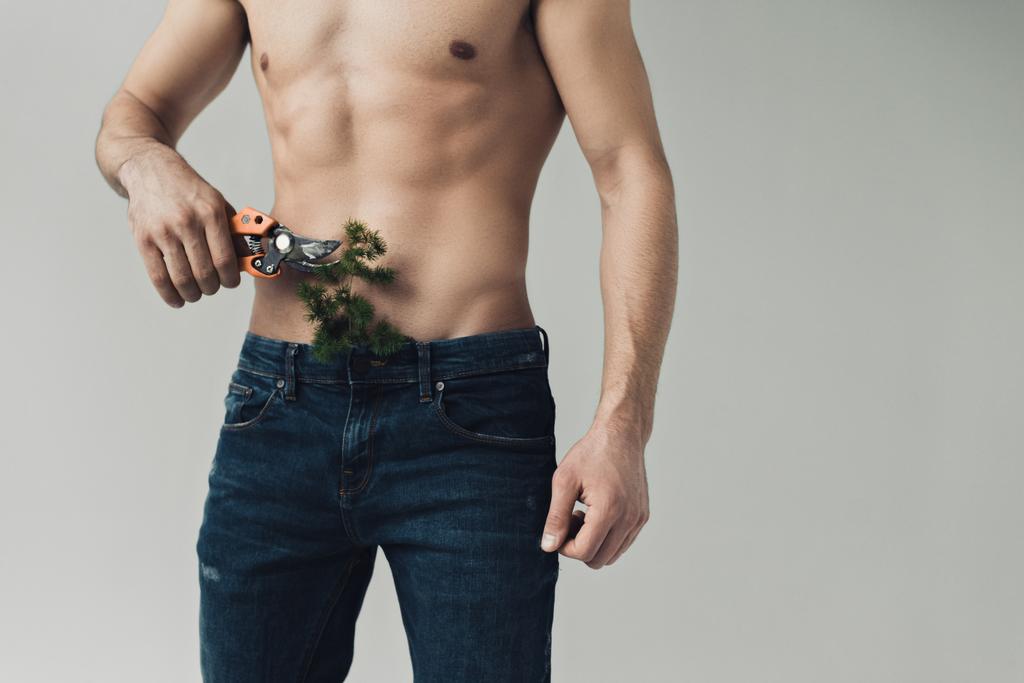 Bijgesneden weergave van shirtless man snijden plant in broek met snoeischaar geïsoleerd op grijs - Foto, afbeelding