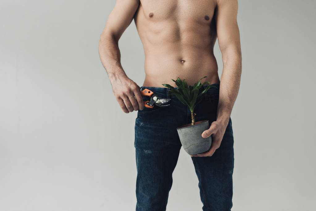 Vista parcial del hombre sin camisa en planta de corte jeans con tijeras de podar aisladas en gris
 - Foto, Imagen