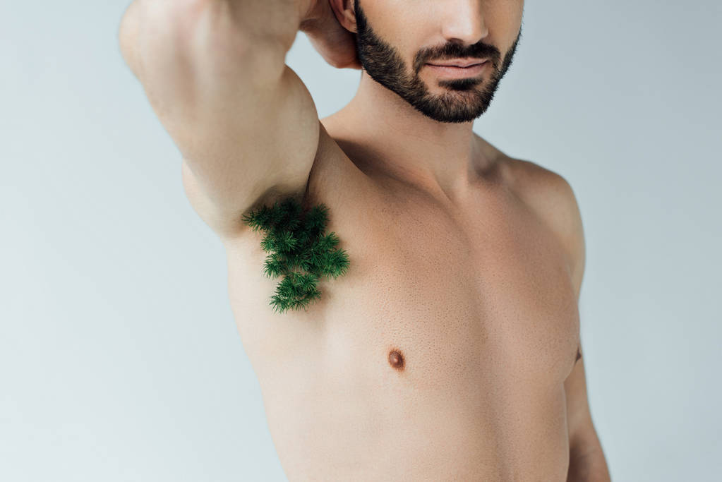 Частичный вид бородатого человека с зеленым растением на подмышке изолирован от серого
 - Фото, изображение