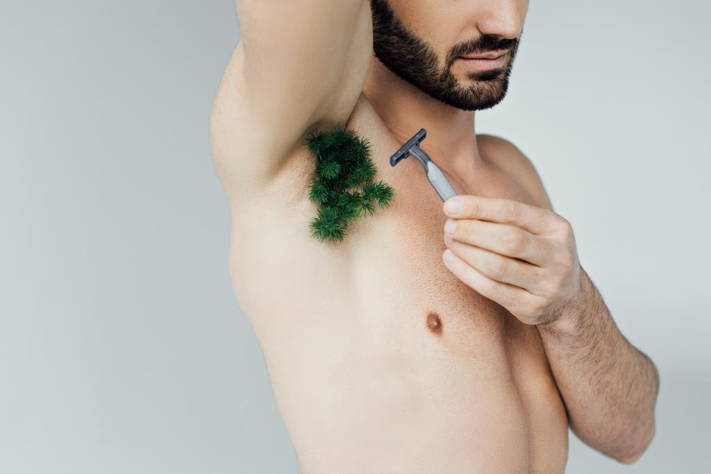 Vágott kilátás az ember borotválkozó üzem a hónalban borotvával izolált szürke - Fotó, kép