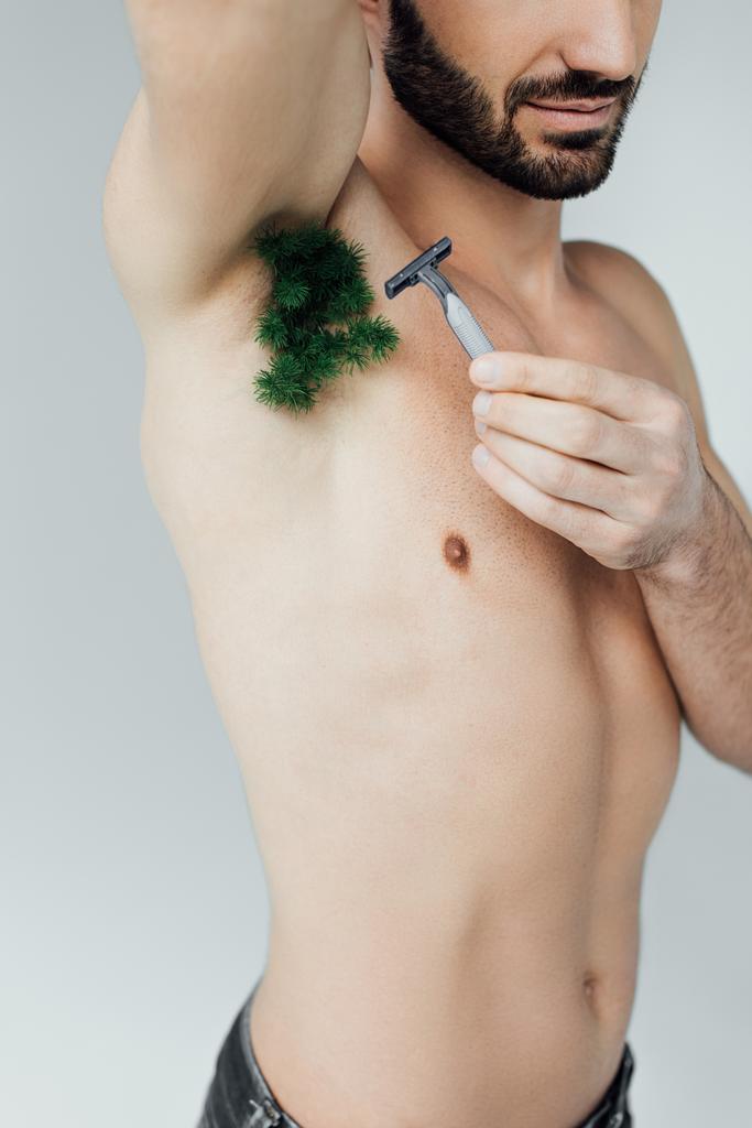 Обрізаний вид рослини для гоління людини на пахві з бритвою ізольовано на сірому
 - Фото, зображення