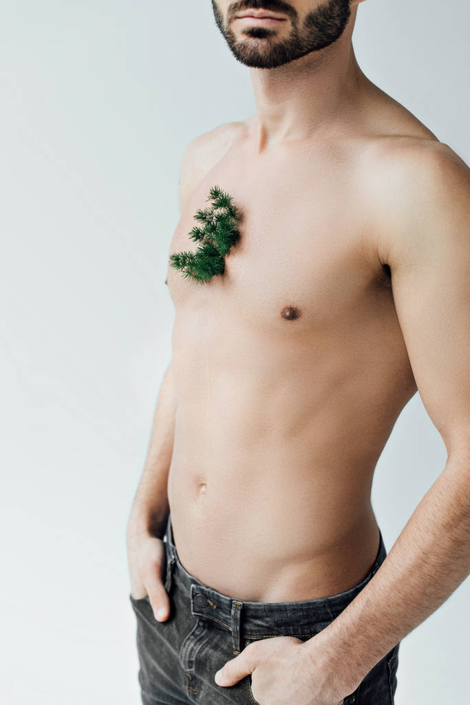Teilansicht eines bärtigen Mannes mit grüner Pflanze auf der Brust isoliert auf grau - Foto, Bild