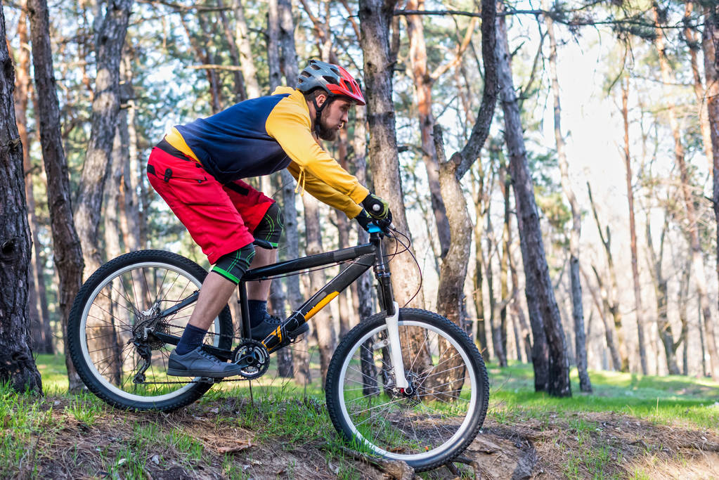 Ciclismo, um ciclista de roupas brilhantes andando de bicicleta de montanha pela floresta. Estilo de vida ativo
. - Foto, Imagem