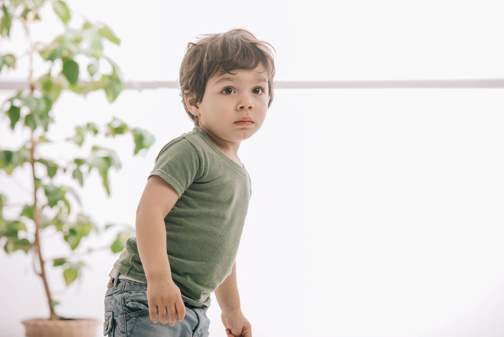 Милий маленький хлопчик в зеленій футболці дивиться вбік
 - Фото, зображення