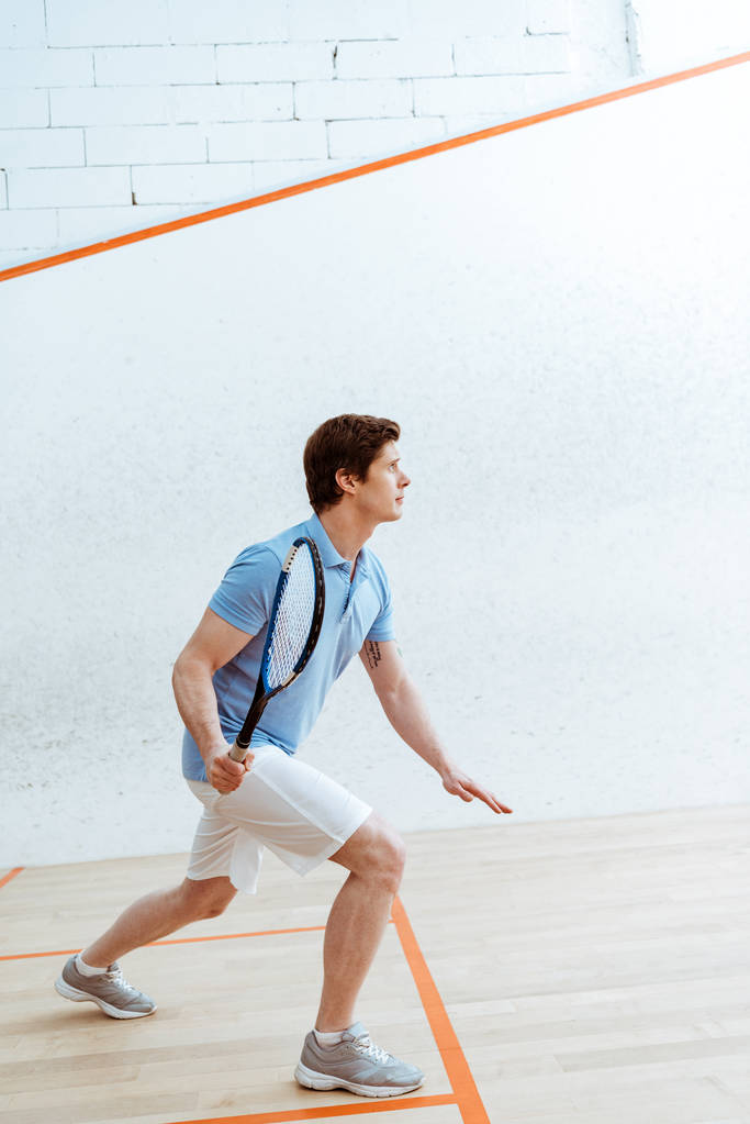 Sportif concentré en polo bleu jouant au squash dans le centre sportif
 - Photo, image
