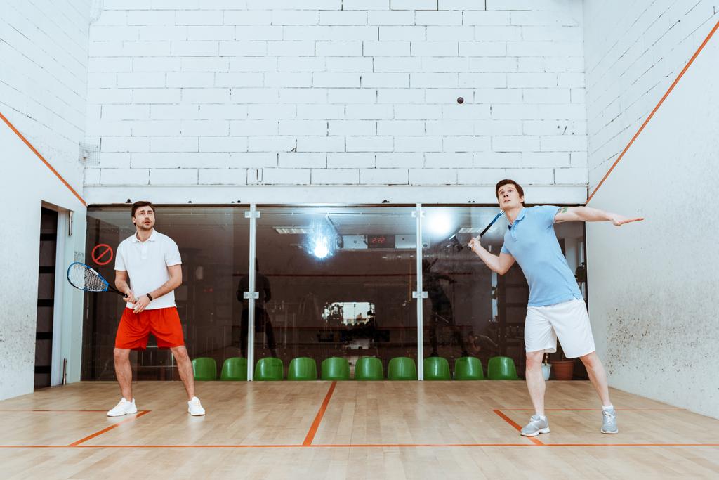 Widok na całą długość dwóch sportowców grających w squasha z rakietami w Trybunale z czterema ściankami - Zdjęcie, obraz