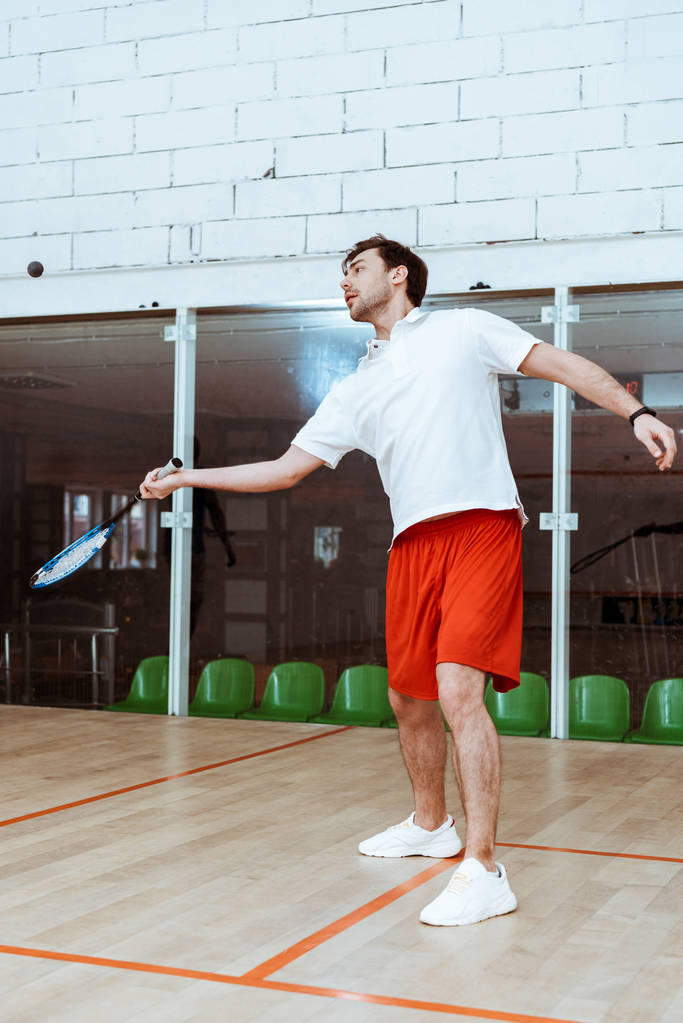 Vista completa del deportista en pantalones cortos rojos jugando squash en corte de cuatro paredes
 - Foto, imagen