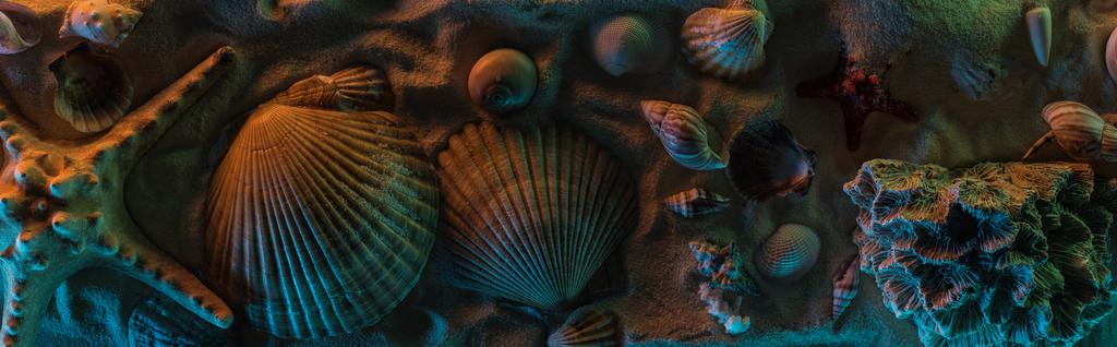 panoramische foto van schelpen, zeesterren, zee stenen en koralen op zand met oranje en blauwe lichten - Foto, afbeelding