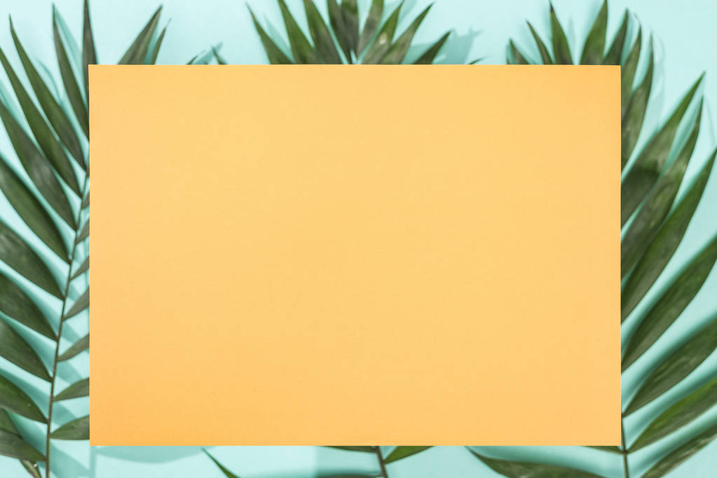 turkuaz arka plan üzerinde tropikal yaprakları ve boş turuncu kart üst görünümü - Fotoğraf, Görsel