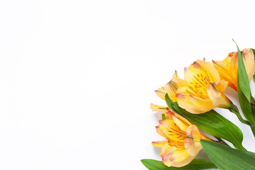 Bouquet of yellow flowers alstroemeria on white background. Flat lay. Horizontal. Mockup with copy space for greeting card, social media, flower delivery, Mother's day, Women's Day. - Photo, Image