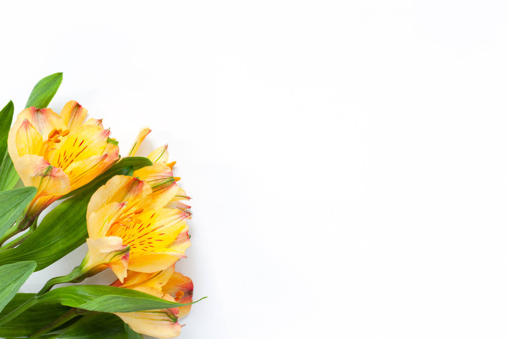Μπουκέτο κίτρινων λουλουδιών Alstroemeria σε λευκό φόντο. "Επίπεδη". Οριζόντια. Μαμέ με χώρο αντιγραφής για Ευχετήρια κάρτα, κοινωνικά μέσα, παράδοση λουλουδιών, ημέρα της μητέρας, ημέρα της γυναίκας. - Φωτογραφία, εικόνα