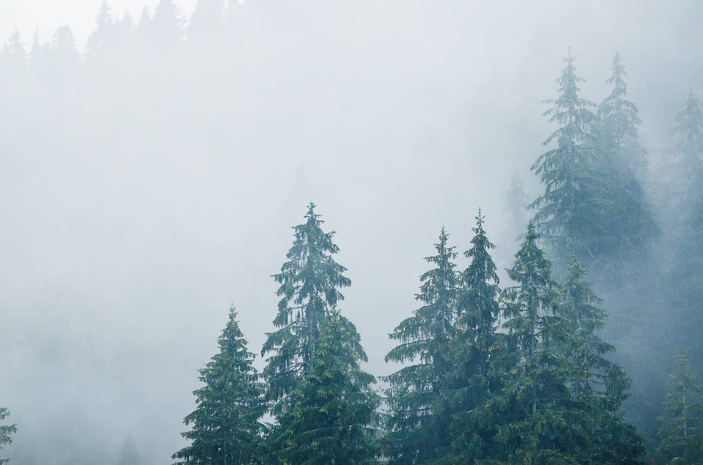 Misty berglandschap - Foto, afbeelding