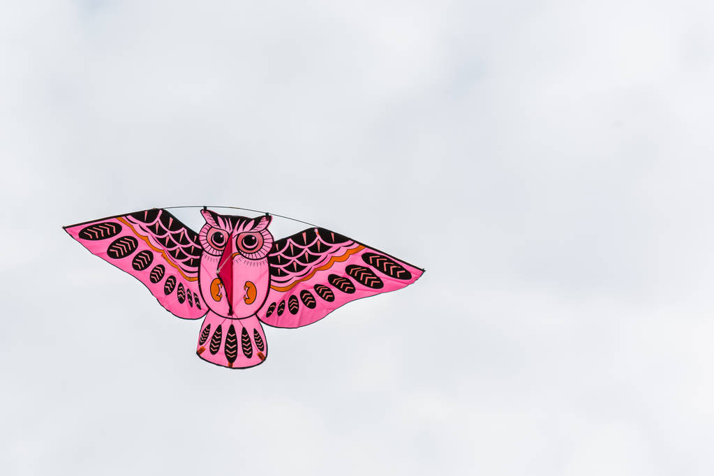 Великий сова у формі повітряний змій ширяє в небі
. - Фото, зображення
