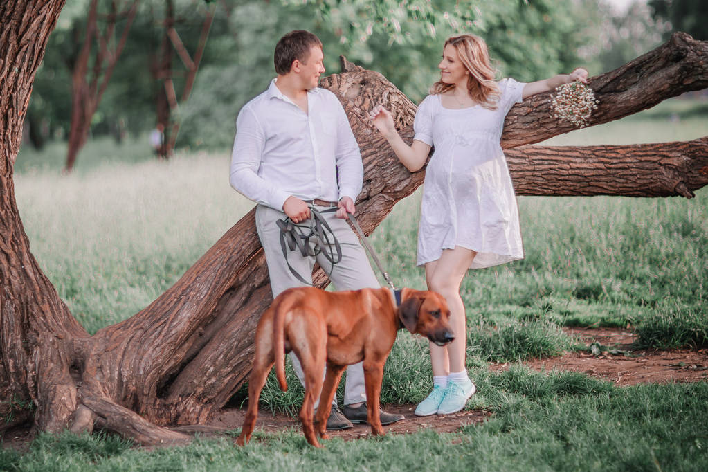 young family with their dog standing near a big tree. - Photo, Image