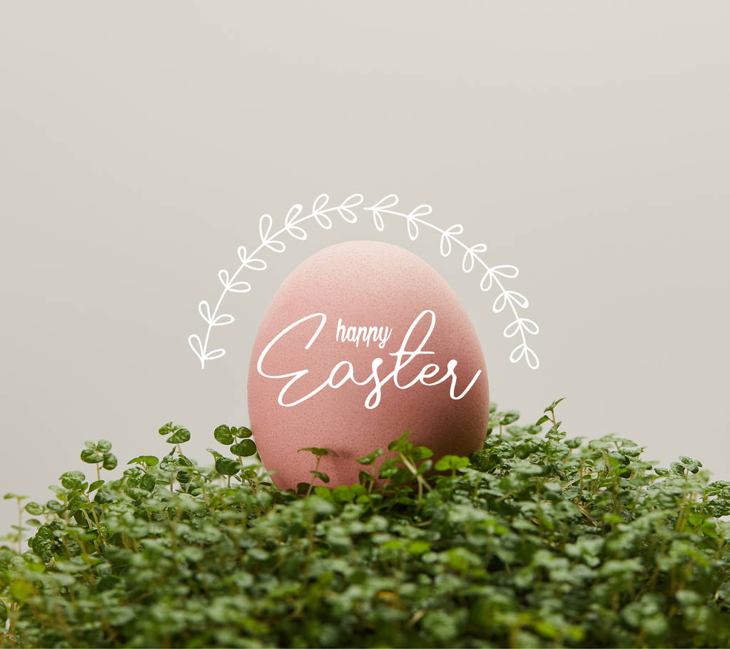 рожеве куряче яйце на зеленій траві з щасливою ілюстрацією Великодня на сірому фоні
 - Фото, зображення