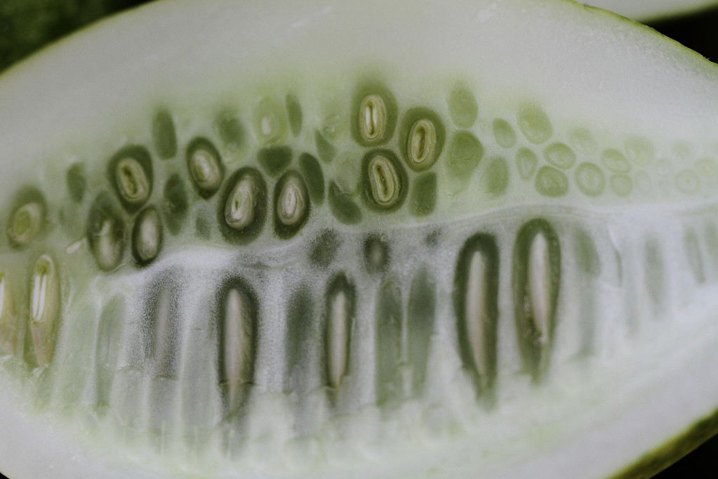 pepinos verdes, fondo
 - Foto, Imagen