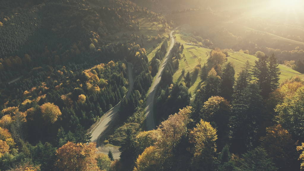 Outono montanha floresta densa paisagem aérea vista
 - Foto, Imagem
