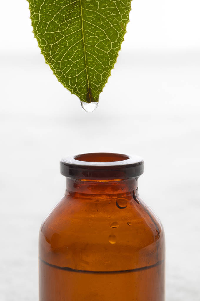 Essential oil dropping from leaf to the bottle. Essence liquid cosmetic. Perfume.Aromatherapy. - Photo, Image