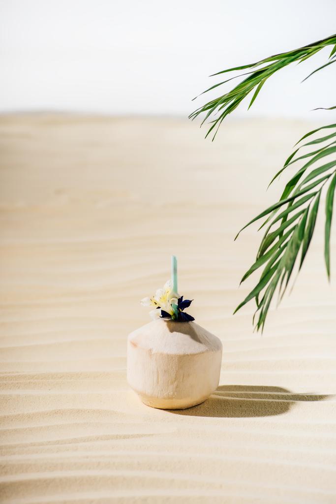 coconut cocktail with flower and palm leaves on beach - Photo, Image