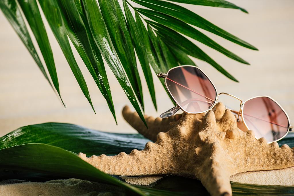 солнечные очки, морская звезда и пальмовые листья на песчаном пляже
 - Фото, изображение