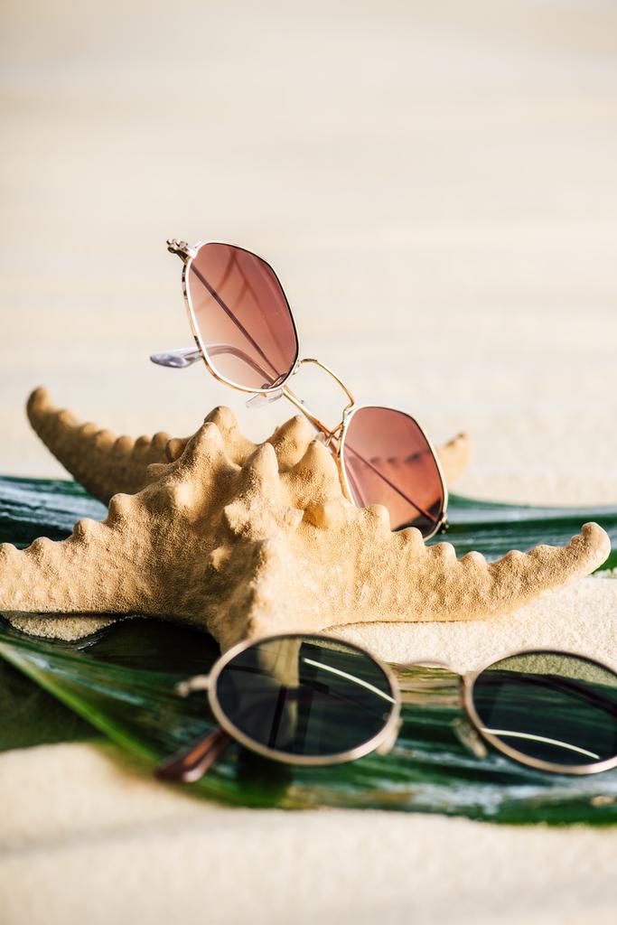 селективный фокус солнцезащитных очков, зеленых листьев и морской звезды на пляже
 - Фото, изображение
