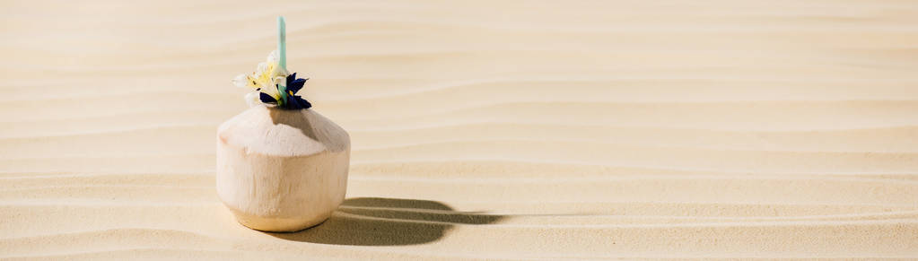 tiro panorâmico de coquetel de coco com flor na praia de areia com espaço de cópia
 - Foto, Imagem