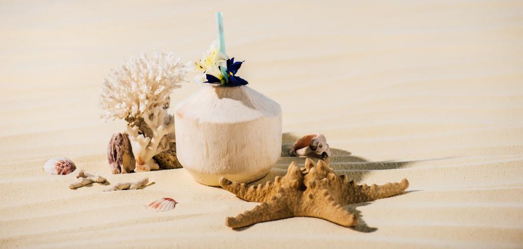 coconut cocktail, starfish, coral and sea stones on beach - Photo, Image
