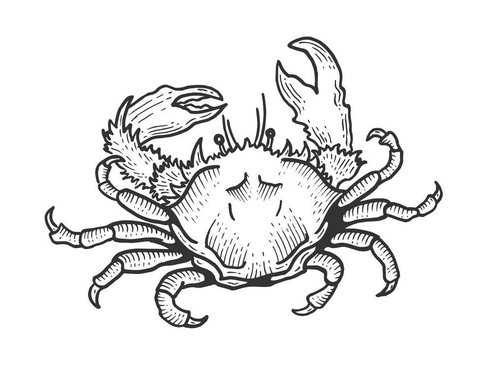 Krabí mořské zvířátko ryté vektorovou ilustrací. Napodobení stylu pomocné desky. Obrázek nakreslený Černobíle-bílá ruka. - Vektor, obrázek