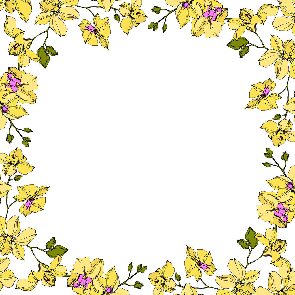 achtergrond met vector krans van Gele orchidee bloemen geïsoleerd op wit met Kopieer ruimte - Vector, afbeelding