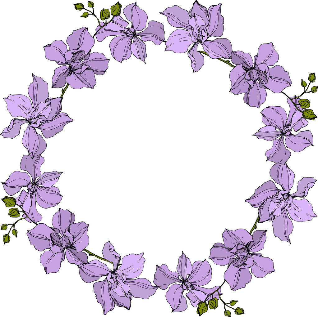fundo com grinalda vetorial de flores de orquídeas violetas isoladas em branco com espaço de cópia
 - Vetor, Imagem