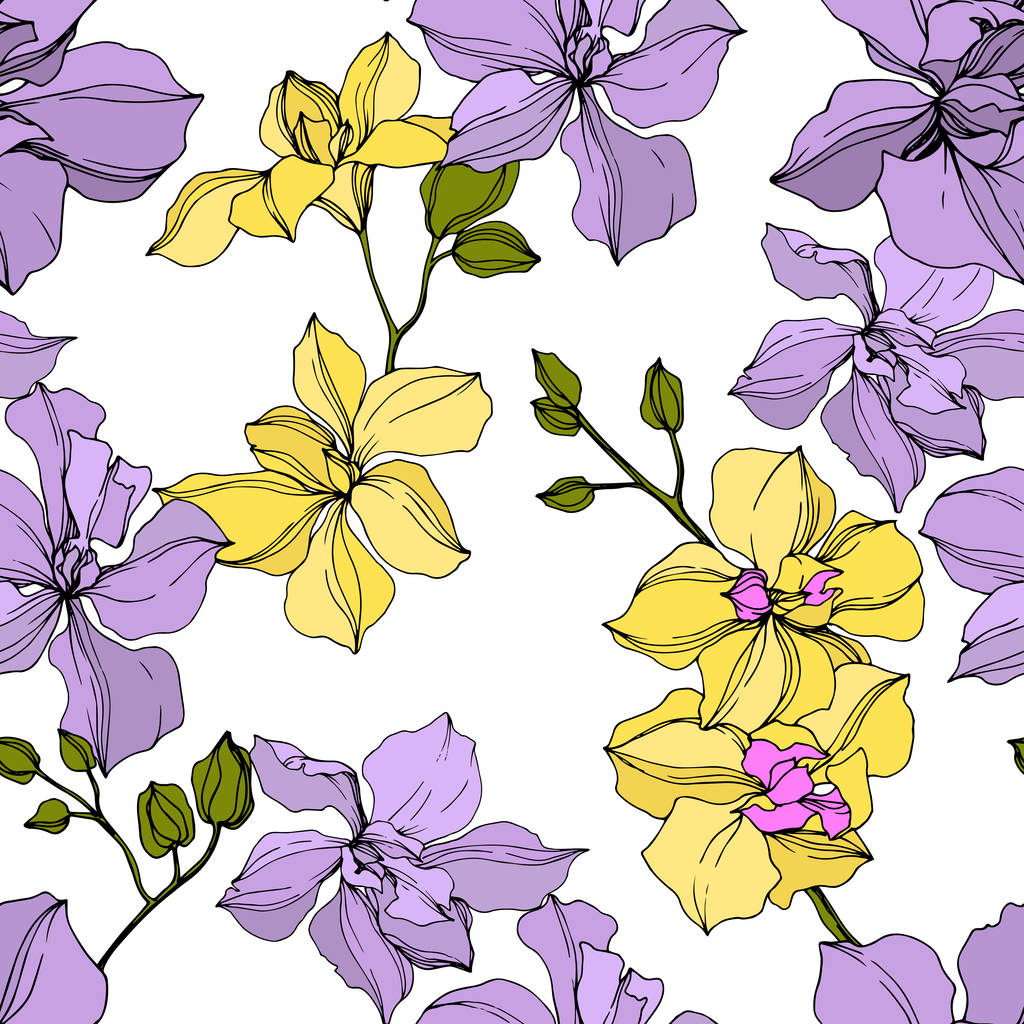 Vector amarillo y violeta flores de orquídea. Arte de tinta grabada. Patrón de fondo sin costuras
.  - Vector, imagen