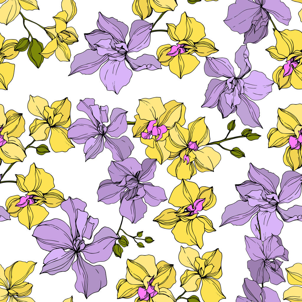 Vector amarillo y violeta flores de orquídea. Arte de tinta grabada. Patrón de fondo sin costuras
.  - Vector, Imagen
