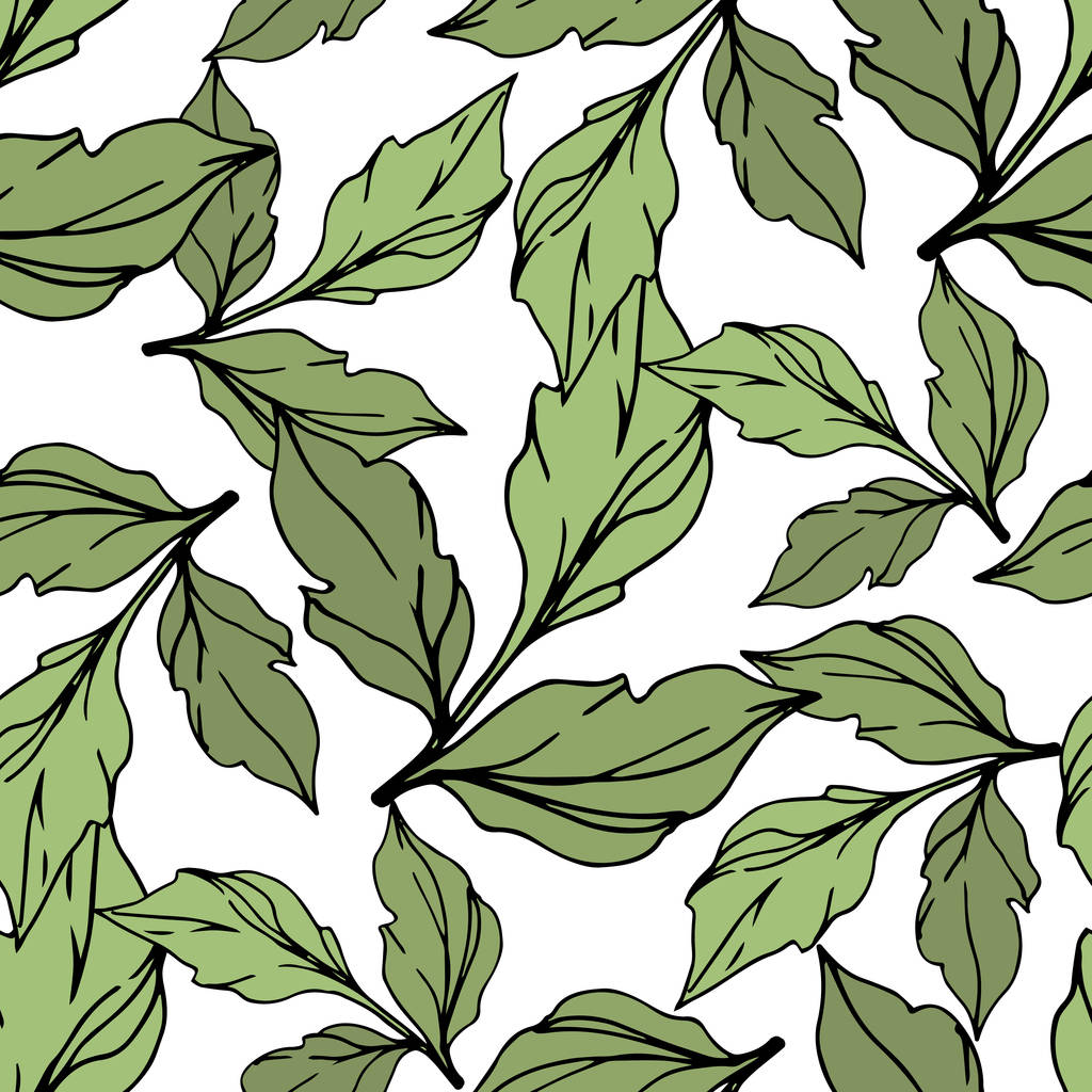 Green vector leaves isolated on white. Engraved ink art. Seamless background pattern.  - Vector, Image