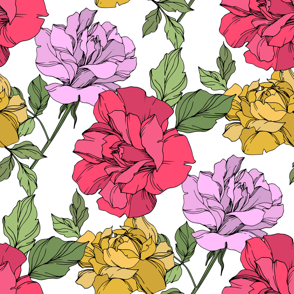 Rosas vectoriales amarillas, rojas y violetas con hojas verdes. Arte de tinta grabada. Patrón de fondo sin costuras
.  - Vector, imagen