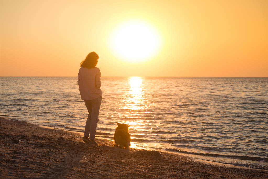 ragazza con un cane sulla spiaggia - Foto, immagini