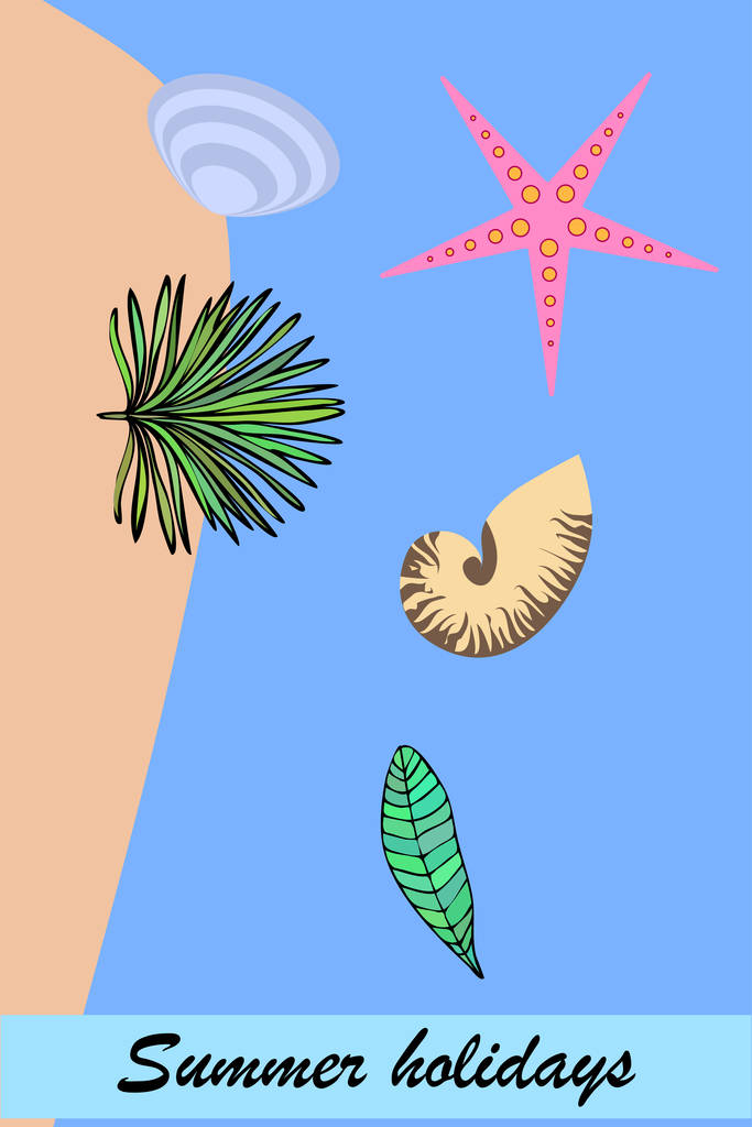 Zomer rust. Zeesterren, Seashell, bladeren van tropische planten. Vector achtergrond - Vector, afbeelding