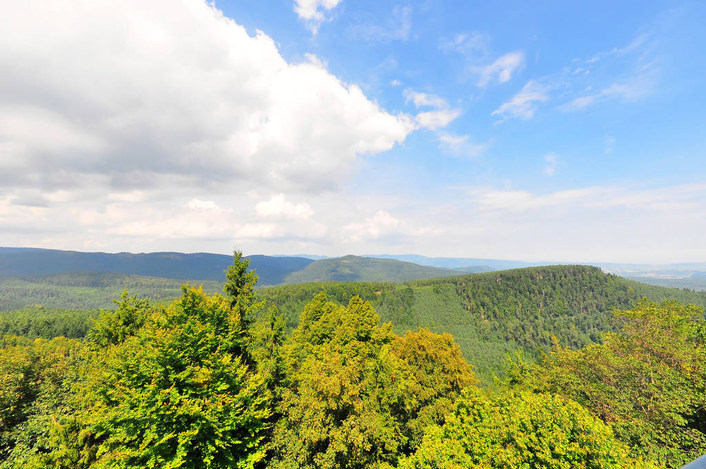 Näkymä Alsaceen Sainte Odile vuorelta, Ranska, kuvattu elokuussa
 - Valokuva, kuva