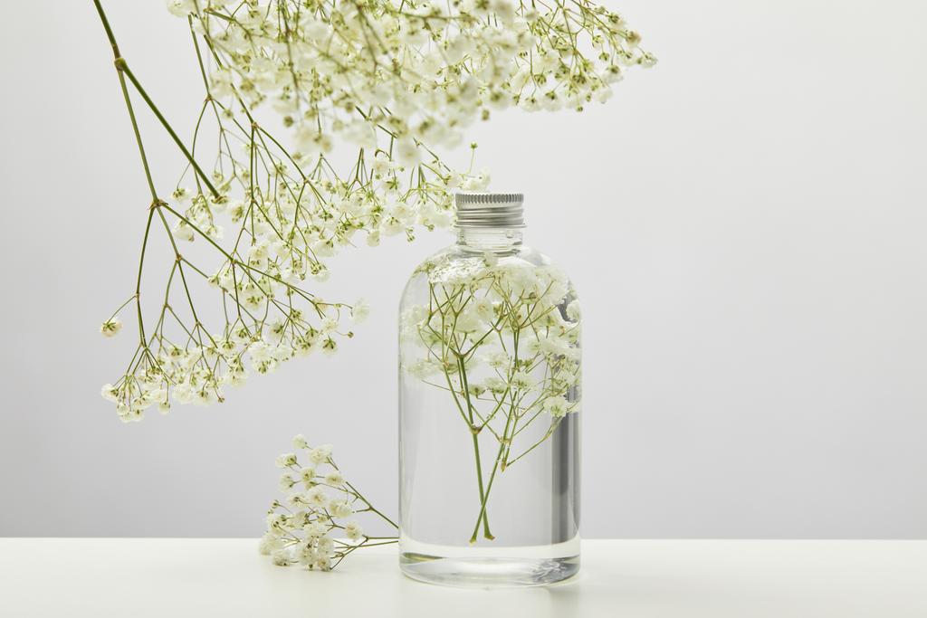 natural beauty product in transparent bottle and white wildflowers on grey background - Photo, Image