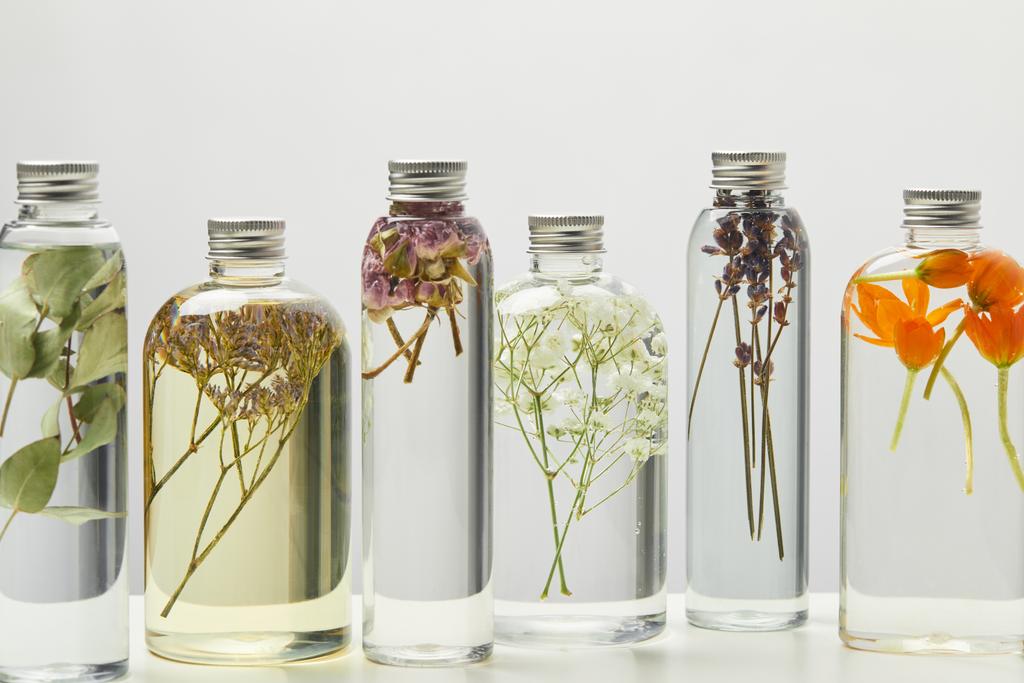 verschiedene Bio-Schönheitsprodukte in transparenten Flaschen mit Kräutern und Blüten isoliert auf grau  - Foto, Bild