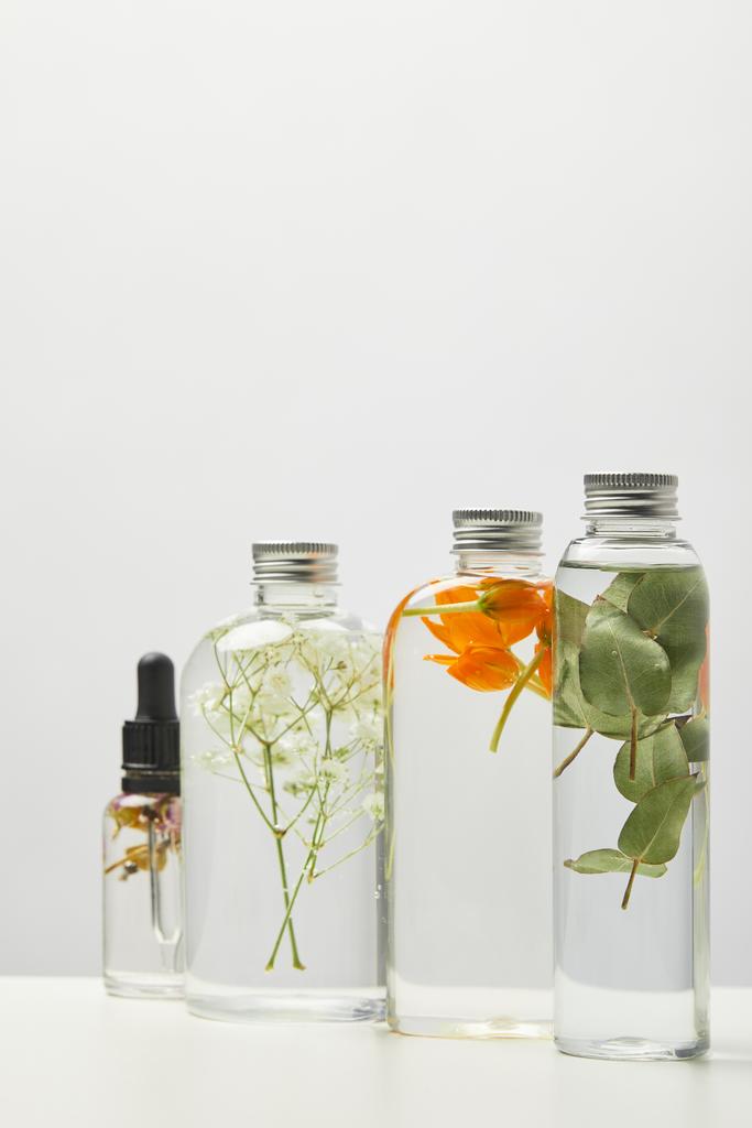 różne organiczne kosmetyki w przezroczystych butelkach z ziołami i Wildflower na szaro  - Zdjęcie, obraz
