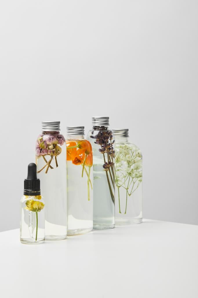 Bio-Schönheitsprodukte in Flaschen mit Kräutern und Wildblumen in Reihe auf weißem Tisch isoliert auf grau  - Foto, Bild
