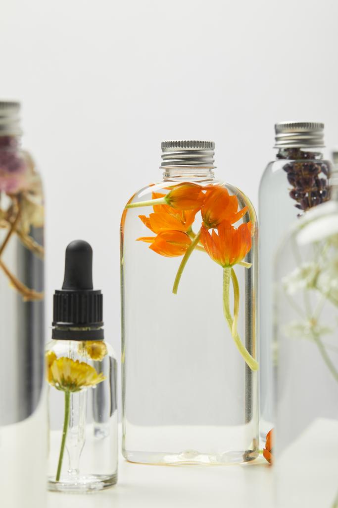 luonnonmukaisten kauneudenhoitotuotteiden valikoiva keskittyminen pulloissa, joissa on harmaalla eristettyjä yrttejä ja luonnonvaraisia kukkia
  - Valokuva, kuva