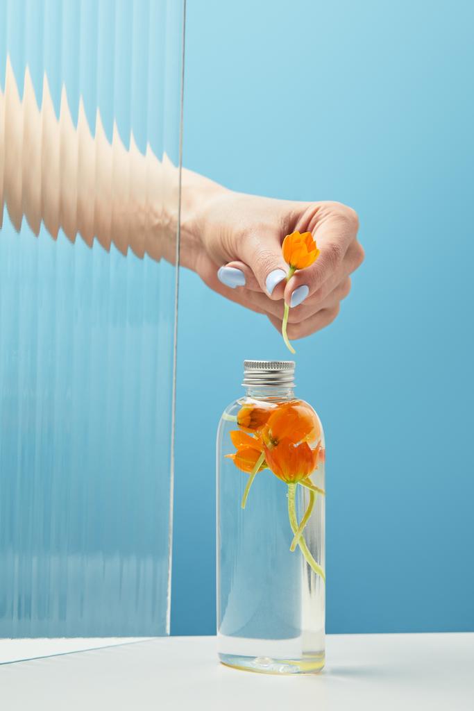 bijgesneden beeld van vrouw vasthouden oranje bloem achter getextureerde glas in de buurt van biologische schoonheid product in fles op blauwe achtergrond  - Foto, afbeelding