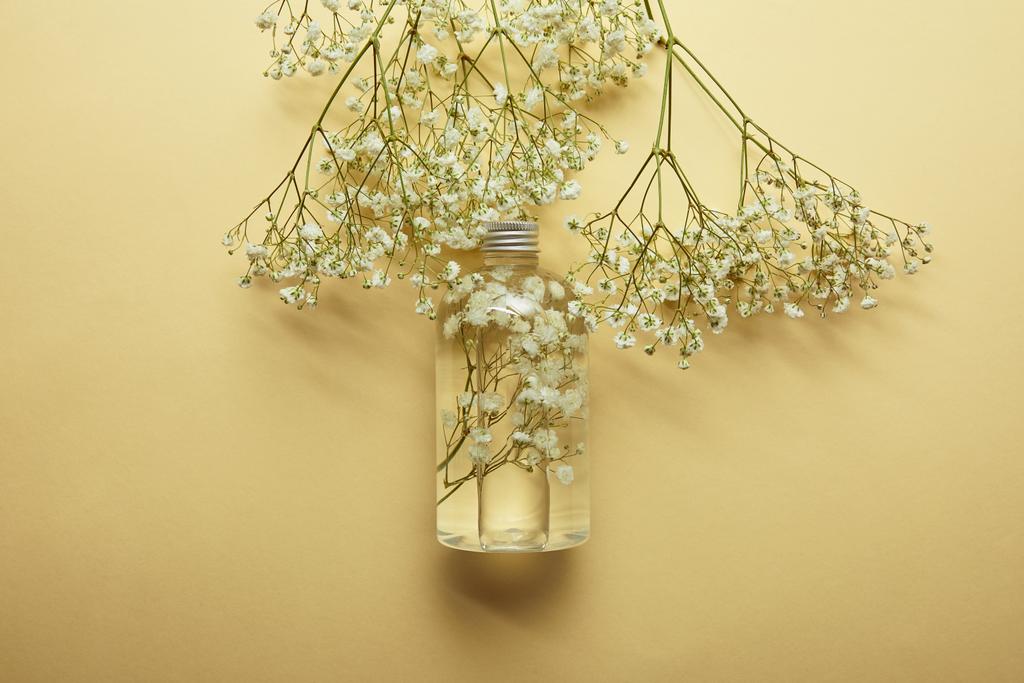 vista superior de la botella con producto de belleza natural cerca de flores silvestres blancas secas sobre fondo amarillo
  - Foto, imagen