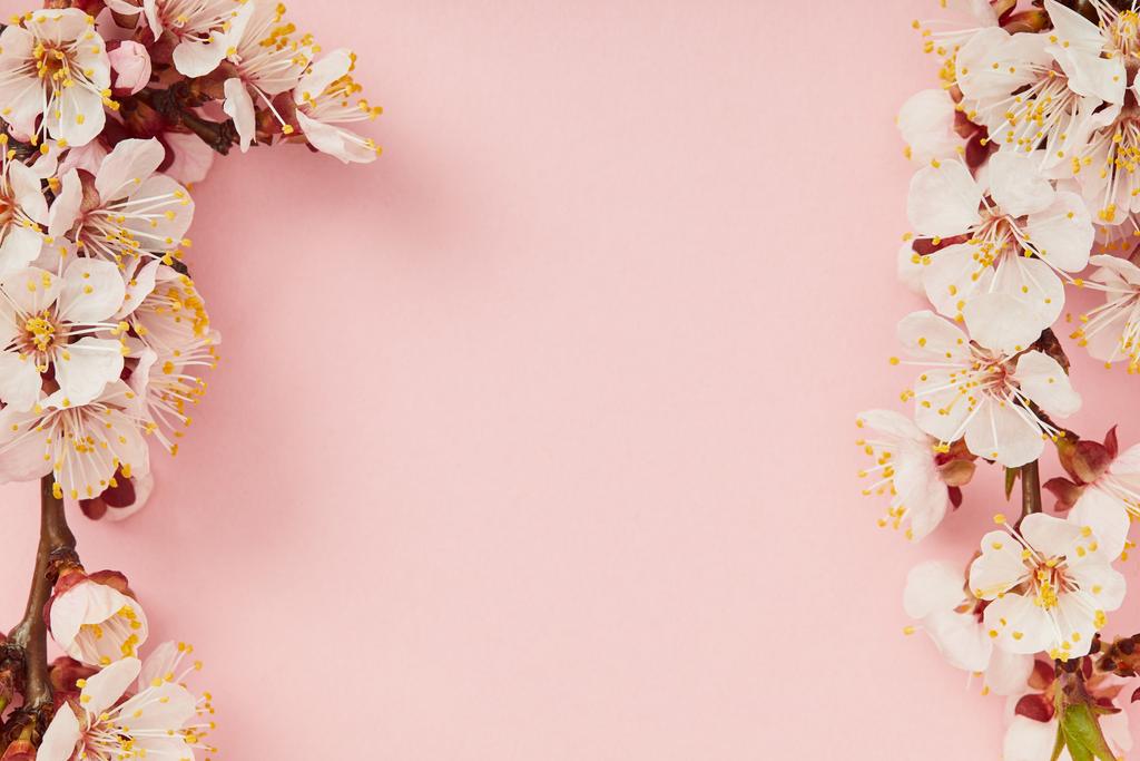 ピンクの背景に春の花が咲く木の枝のトップビュー ロイヤリティフリー写真 画像素材