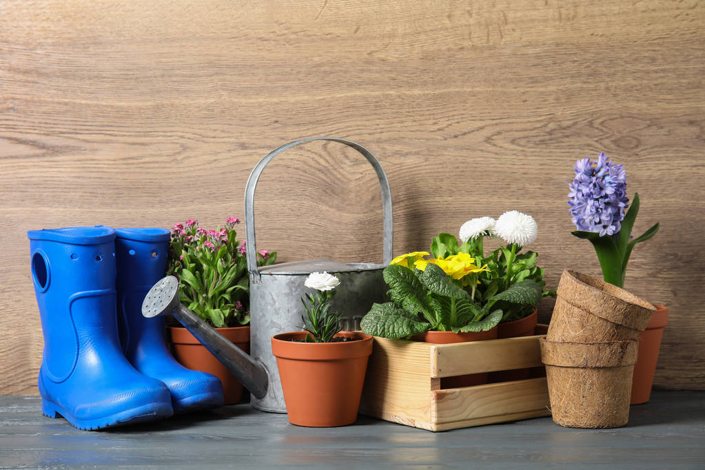 Fleurs en fleurs dans des pots et du matériel de jardinage sur la table
 - Photo, image