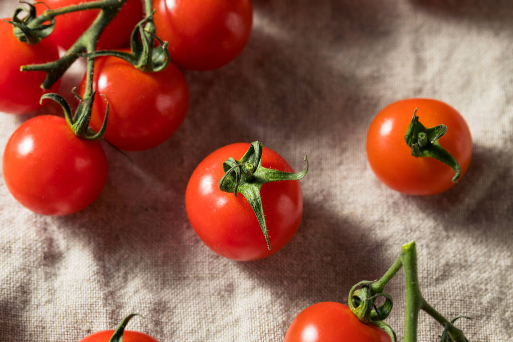 Tomates rojos crudos de cereza ecológicos
 - Foto, imagen