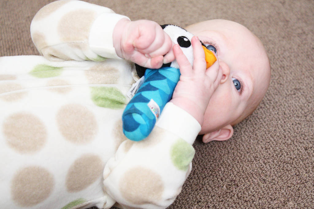 ein Baby spielt auf einem braunen Teppichboden mit einem pinguinförmigen Spielzeug. - Foto, Bild